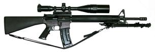 Bushmaster - AR-15 - Semi-Auto Lower Receiver - 22 Rimfire Conversion - A-3 Upper Receiver - 20 Inch Free-Floated, Fluted Heavy Barrel - 6 x 24 x 50mm AO Scope - Target Knobs - Mil-Dots - Red, Green, and Blue Illuminated Reticle