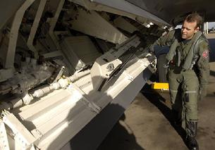 F-22 Raptor side weapons bay