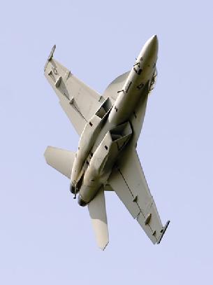 FA-18E/F Hornet is 1/3 larger than older A/B and C versions. Normally the A, C, and E models are the single seat versions and the B, D, and F models are the two seat versions.
